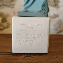 Load image into Gallery viewer, Venus Standing Dusty Blue Large "Love is udefeatable on the battlefield - Sophocles "