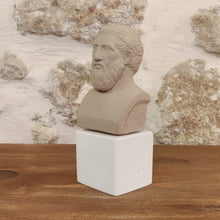 Load image into Gallery viewer, Plato  "Philosophy begins in wonder"