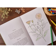 Load image into Gallery viewer, Colour & Learn - The Greek Herbs