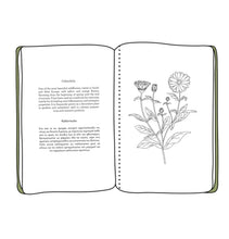 Load image into Gallery viewer, Colour & Learn - The Greek Herbs