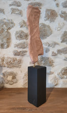 Load image into Gallery viewer, Female Form