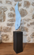 Load image into Gallery viewer, Male Form