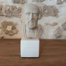 Load image into Gallery viewer, Hippocrates Ice Grey &quot;Make a habbit of two things to help or at least to do no harm.&quot;
