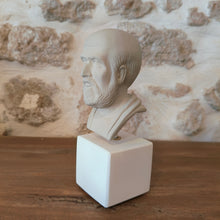 Load image into Gallery viewer, Hippocrates Ice Grey &quot;Make a habbit of two things to help or at least to do no harm.&quot;
