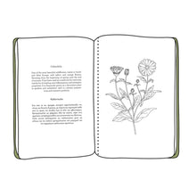 Load image into Gallery viewer, Colour &amp; Learn - The Greek Herbs
