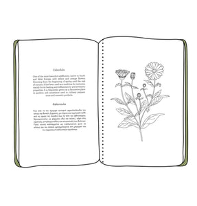 Colour & Learn - The Greek Herbs