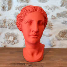 Load image into Gallery viewer, Venus Head Vase
