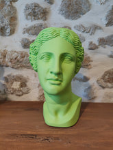 Load image into Gallery viewer, Venus Head Vase
