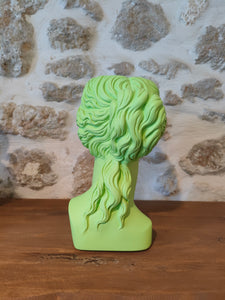 Venus Head Vase